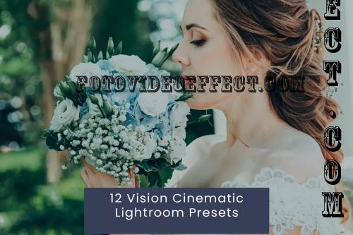 12 Vision Cinematic Lightroom Presets - E88S34Z