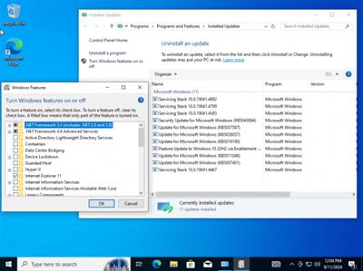 Windows 10 Pro 22H2 build 19045.4894 Preactivated Multilingual September  2024 Bd86271934ec418f9cc23abb1ba9c212