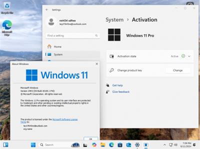 Windows 11 24H2 Build 26100.1742 19in1 Preactivated  Multilingual (Release Preview)