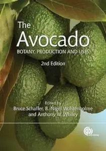 The Avocado Botany, Production and Uses