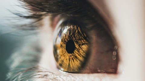 Emdr Therapy: From Basics To Advanced  Techniques