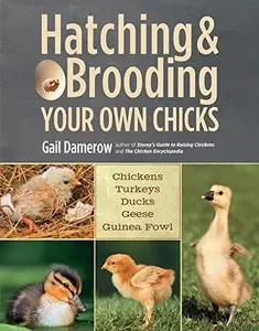 Hatching & Brooding Your Own Chicks Chickens, Turkeys, Ducks, Geese, Guinea Fowl