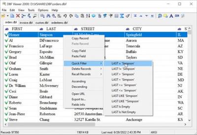 DBF Viewer 2000 v8.47  Multilingual