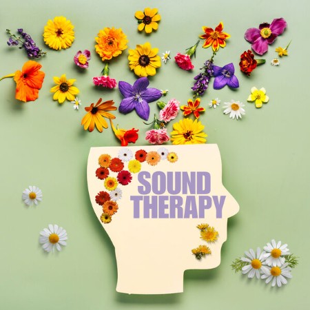 VA - Sound Therapy (2024)