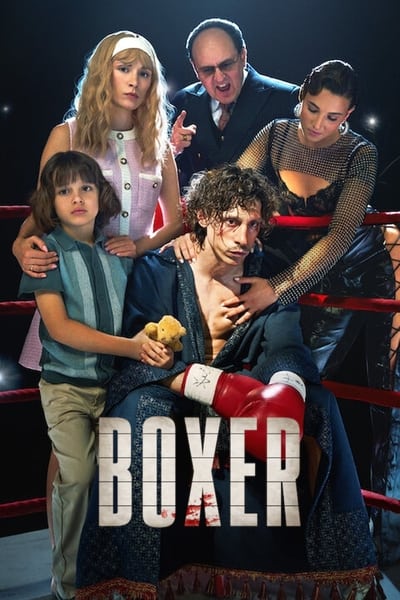 Boxer 2024 German AC3 720p NF WEBRip H265-LDO