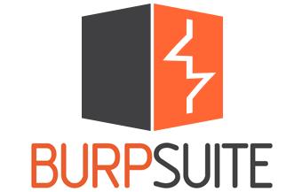 Burp Suite Professional  2024.7.6