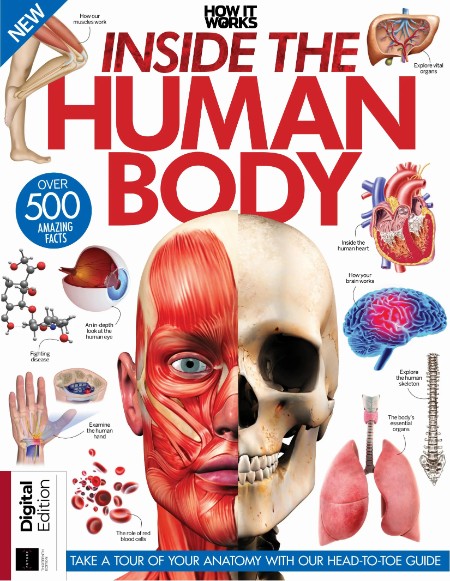 How It Works Inside The Human Body - 13th Edition - 5 September 2024 7e87ef948fadfafcad5f1bbc543ebe52