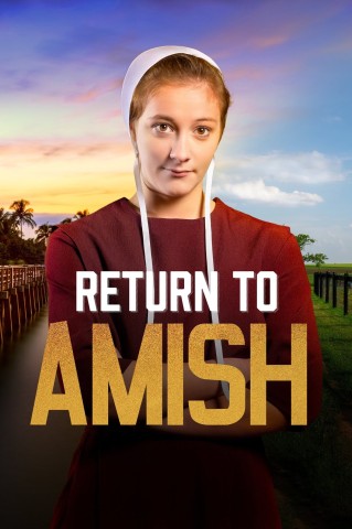 Return to Amish S06E08 German Dl 1080p Web H264-SynergiE