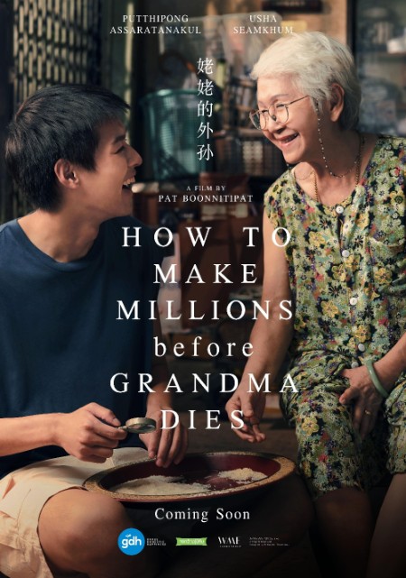 How To Make Millions Before Grandma Dies (2024) 720p WEBRip x264 AAC-YTS