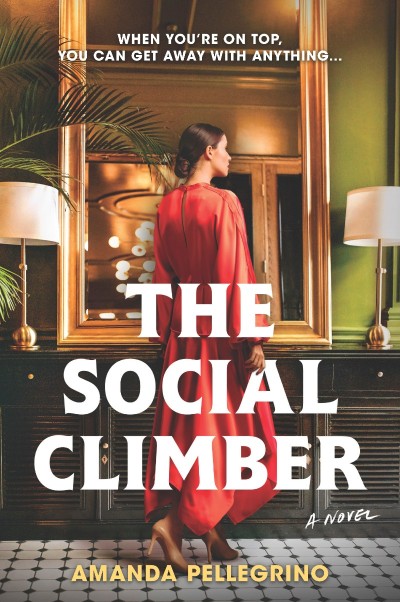 The Social Climber: A Novel - Amanda Pellegrino 133ad32c6fc505d956c6c1b2b0f900af