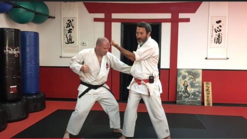 Dissect The Dissection Bunkai Of Isshinryu Kihon