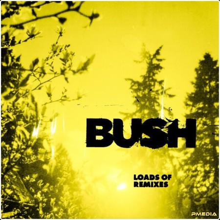 Bush - Loads Of Remixes (2024) [16Bit-44 1kHz] FLAC