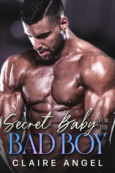 A Baby for Christmas: A Bad Boy Romance - Michelle Love 00816e3cd278b1e408535286b866e294