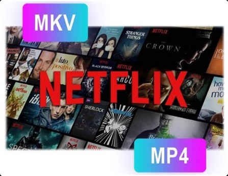 Pazu Netflix Video Downloader 1.7.7 (x64)