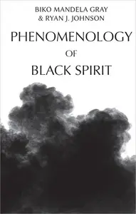 Phenomenology of Black Spirit