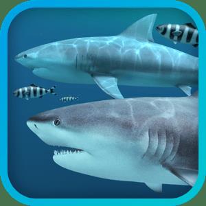 Sharks 3D 2.1.1  macOS E2ee81389c25afa8396b4a8a745fb00b