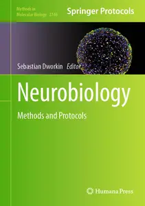 Neurobiology Methods and Protocols (Methods in Molecular Biology, 2746)