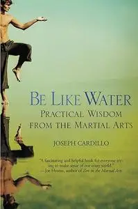 Be Like Water Practical Wisdom from the Martial Arts