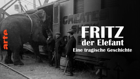 Fritz der Elefant Eine tragische Geschichte German Doku 720P WebHd H264-Goodboy