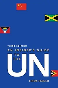 An Insider’s Guide to the UN 2015