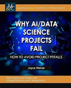 Why AiData Science Projects Fail