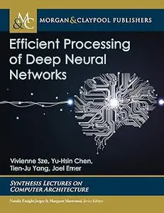 Efficient Processing of Deep Neural Networks