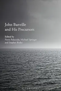 John Banville and His Precursors