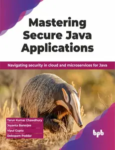 Mastering Secure Java Applications Navigating security in cloud and microservices for Java (English Edition)