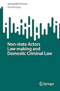 Non-state Actors Law-making and Domestic Criminal Law