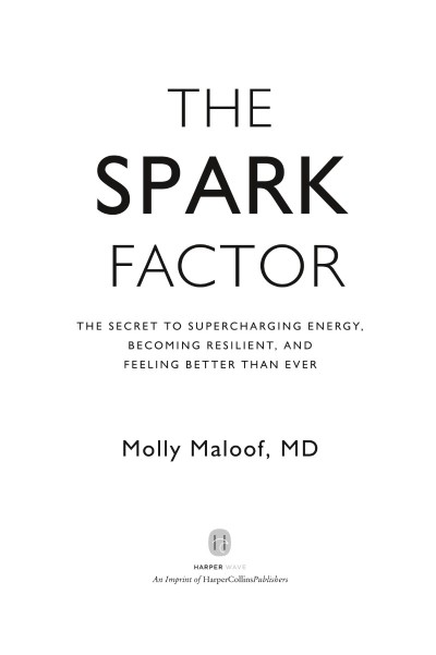 The Spark Factor: The Secret to Supercharging Energy, Becoming Resilient, and Feel...