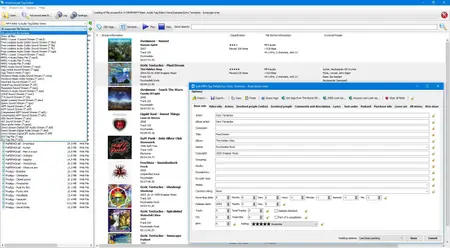 3delite Professional Tag Editor 1.0.188.202