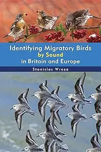 Identifying Migratory Birds by Sound in Britain and Europe