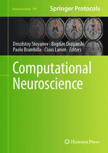 Computational Neuroscience (Neuromethods, 199)