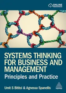 Systems Thinking for Business and Management Principles and Practice