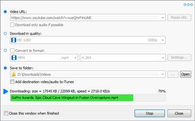 Robin YouTube Video Downloader Pro  6.10.5 8c2efd6c217bfc5b43f4904bb82854d3