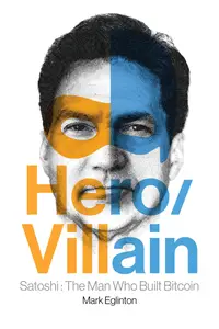 HeroVillain Satoshi The Man Who Built Bitcoin