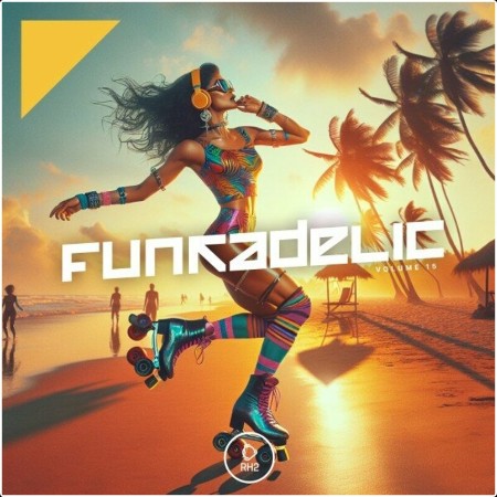 VA - Funkadelic Vol  17 (2024) Mp3 320kbps