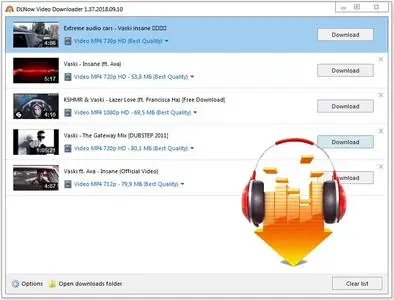 DLNow Video Downloader 1.54.2024.09.14 Portable