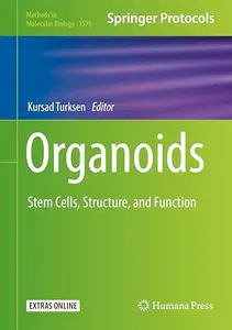 Organoids Stem Cells, Structure, and Function