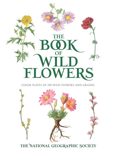 The Book of Wild Flowers: Color Plates of 250 Wild Flowers and Grasses - The Natio... 8e2278131abdc824848f336a32e9f182