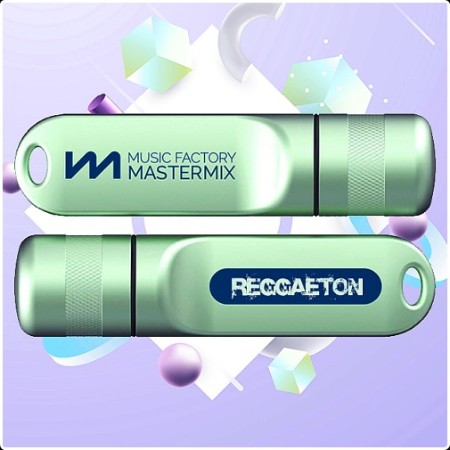 VA - Mastermix USB Reggae - Reggaeton (2024) Mp3 320kbps  B4ea6c201d5003397274a4a169c78c84