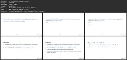 Python Excel (Openpyxl) Programming With Coding  Exercises 217457c2e071c87b1013f79a9483169e