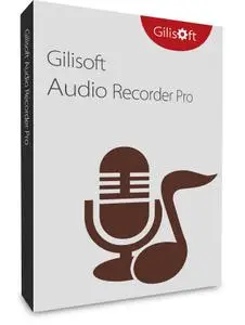 GiliSoft Audio Recorder Pro 12.9 Multilingual (x64)