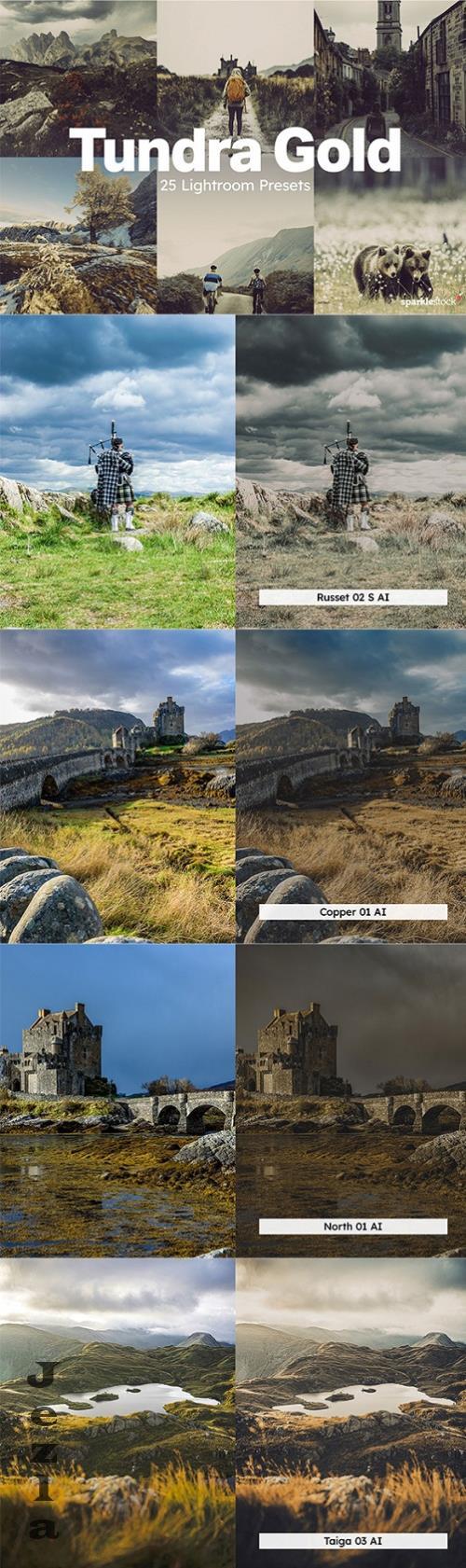 20 Tundra Gold Lightroom Presets LUT - 283913618