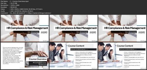 Hr Compliance & Risk  Management