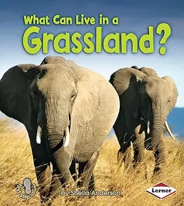 What Can Live in a Grassland