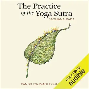 The Practice of the Yoga Sutra Sadhana Pada [Audiobook]