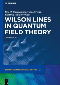 Wilson Lines in Quantum Field Theory (De Gruyter Studies in Mathematical Physics, 24)