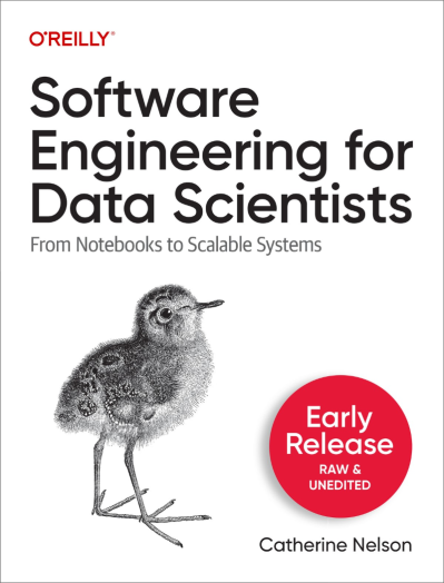 Software Engineering for Data Scientists: From Notebooks to Scalable Systems - Cat... 02a53e3e4009ec5f313bf4adc1fce4e7