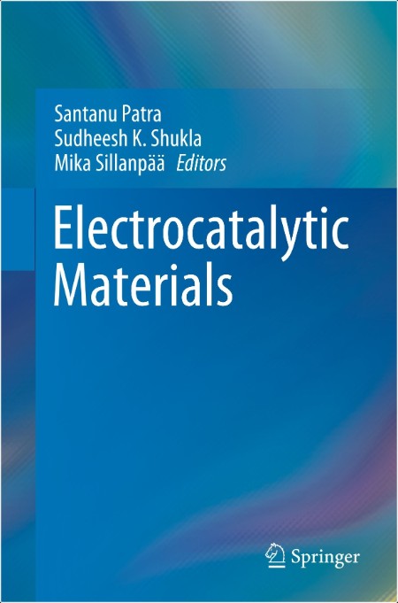 Patra S  Electrocatalytic Materials 2024